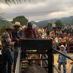 Meet your Posher, Gender